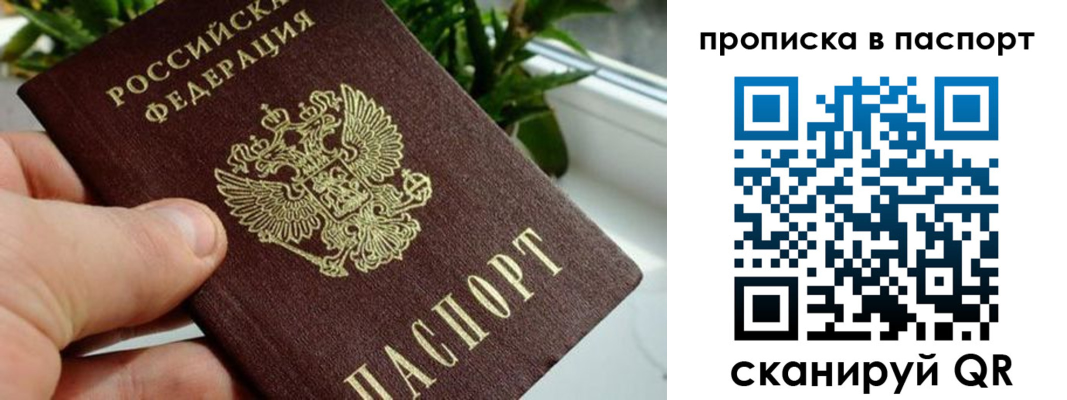 пропишу в квартире в Ярцево